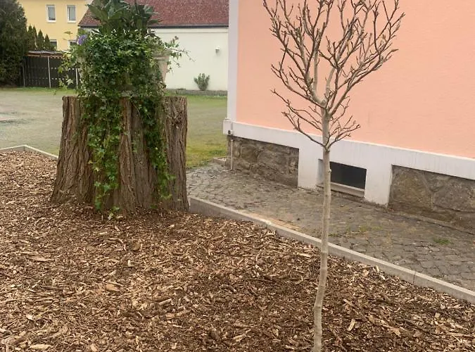 Carl Von Clausewitz Leipzig